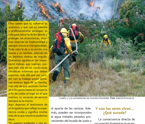 Cuadro 2: Los combatientes de incendios forestales. Foto: Gabriel Echeverria