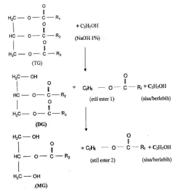 Gambar 1. Tahapan reaksi etanolisis trigliserida menghasilkan digliserida,       monogliserida dan etil ester asam lemak 