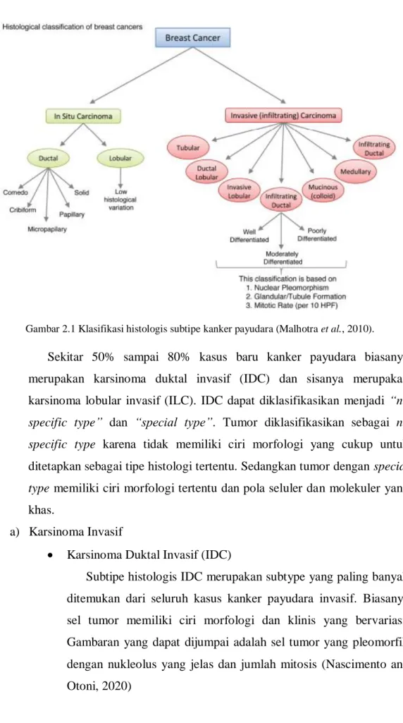 Gambar 2.1 Klasifikasi histologis subtipe kanker payudara (Malhotra et al., 2010). 