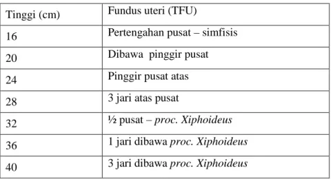 Tabel 2.3 TFU Menurut Penambahan Tiga Jari 