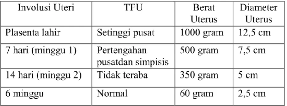 Tabel 2. 6. Perubahan-Perubahan Normal Pada Uterus Selama Postpartum