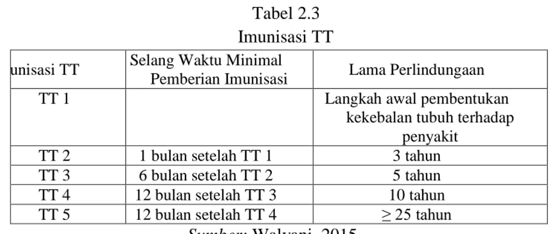Tabel 2.3  Imunisasi TT  Imunisasi TT  Selang Waktu Minimal 