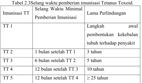 Tabel 2.3Selang waktu pemberian imunisasi Tetanus Toxoid. 