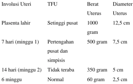 Tabel 8. Perubahan-Perubahan Normal Pada Uterus Selama  Postpartum 