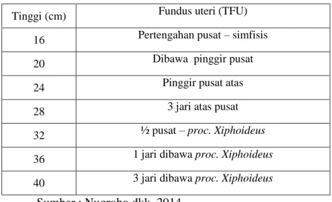 Tabel 2.4 TFU Menurut Penambahan Tiga Jari  Tinggi (cm)  Fundus uteri (TFU) 