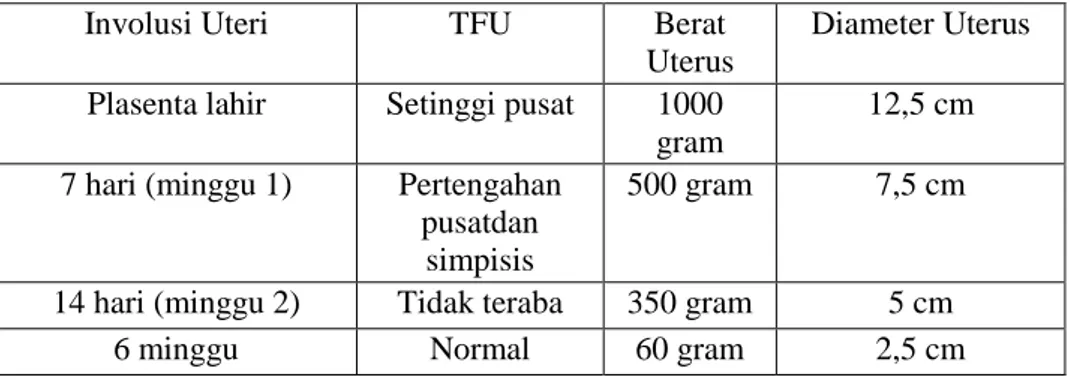 Tabel 2.8 Perubahan-Perubahan Normal Pada Uterus Selama Postpartum 