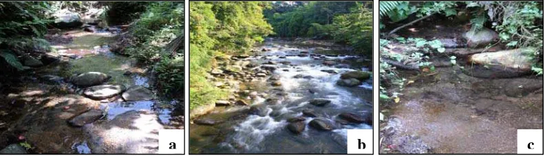 Gambar 3.1 a. Sungai di hutan; b. Sungai pinggiran hutan; c. Sungai di pemukiman masyarakat 