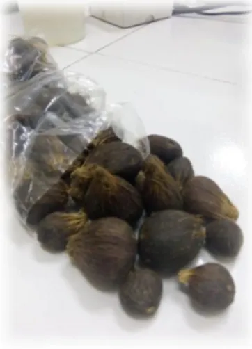Gambar 4. Nut 