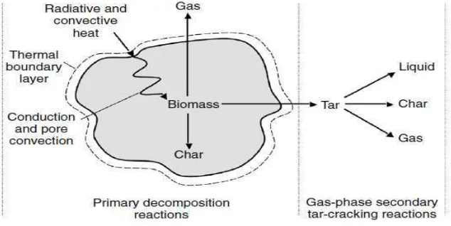 Gambar 2.4 Pirolisis dalam partikel biomassa (prabir basu,2010) 