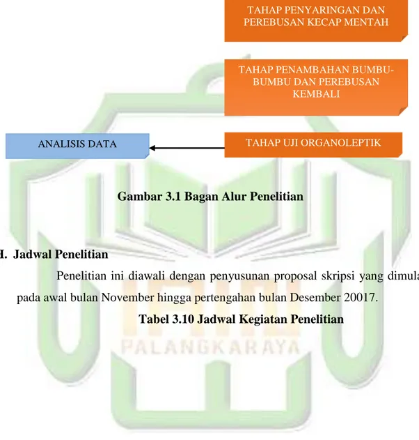 Gambar 3.1 Bagan Alur Penelitian 