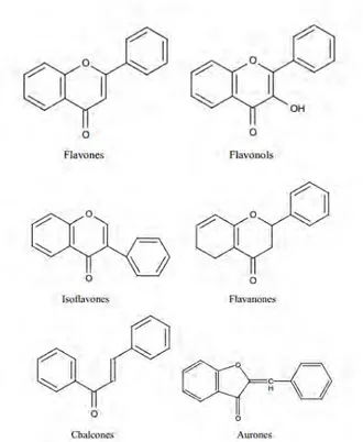 Gambar 2.5  Jenis-Jenis Flavonoid (Mabry, et al, 1970).  Flavonoid  merupakan  senyawa  polar  karena  memiliki  sejumlah  gugus  hidroksil  yang  tidak  tersubstitusi