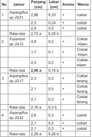 Tabel  4. Pembentukan gubal gaharu pada   A.beccariana  setelah  4  bulan  infeksi No Jamur Panjang  (cm) Lebar (cm) Aroma Warna 1 Aspergillus  sp JG31 2,96 0,33 + coklat 2,3 0,24 + coklat 2,9 0,5 + coklat Rata-rata 2,72 a 0,35 b 2 Fusarium  sp JG12 4,9 0,