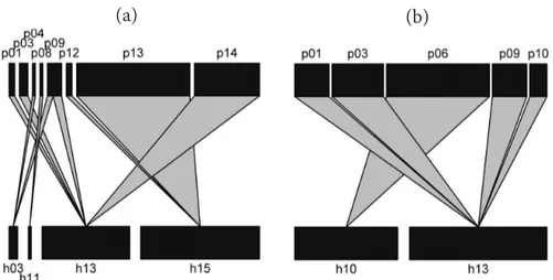 Gambar 4. Interaksi tropik hama dan parasitoid pada pertanaman kubis dengan kondisi habitat (a) beragam 