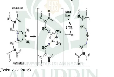 Gambar 4.4 Persamaan reaksi interaksi Pb dengan sistein 