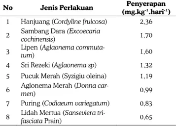 GAMBAR 2. Penampang akar Tanaman Lidah Mertua  (Sanseviera trifasciata Prain) 