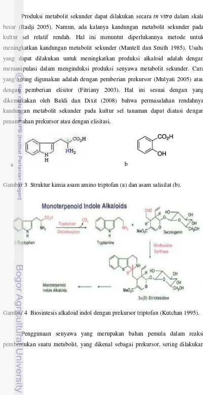 Gambar 3  Struktur kimia asam amino triptofan (a) dan asam salisilat (b). 