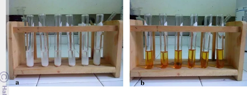 Gambar 15  Hasil analisis alkaloid secara kualitatif menggunakan reagen 