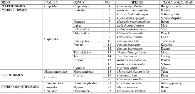 Tabel 3.  Spesies Ikan di Suaka Perikanan Sosa Nagari Koto Bangun 