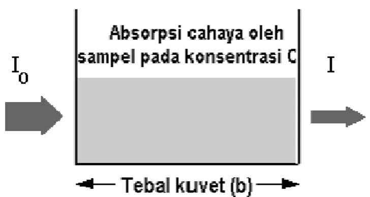 Gambar absorbsi sinar UV-Vis oleh larutan sampel dalam kuvet  ditunjukkan pada Gambar 5