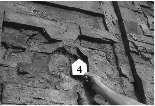 Fig. 5. Detail of the right hand side of the gate showing heavy deteriorationdue to ﬂaking mainly caused by salt crystallisation in an area reached by risingdamp.