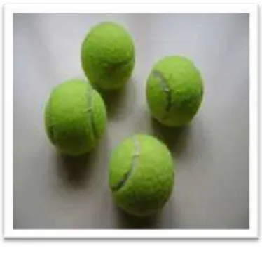 Gambar 3.5 Bola Tennis 