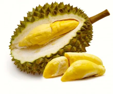 Gambar 1. Buah Durian 
