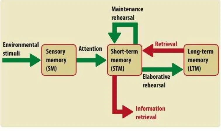 Figure 1. The Information Processing Model 