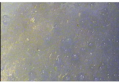 Gambar 9. spesimen 3 baja karbon tinggi dengan pelapisan tembaga waktu tahan 