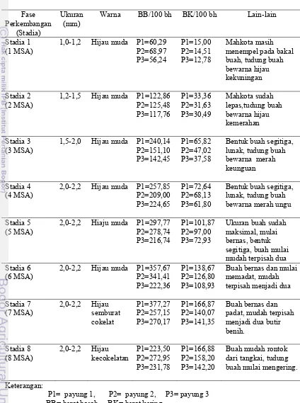 Tabel 7  Perkembangan  buah purwoceng berdasarkan perubahan morfologi  pada    berbagai stadia 