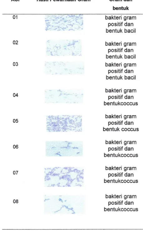 Tabel 2Perbedaan Rerata Asam Laktat (BAL) total koloni BakteriBerdasarkan 