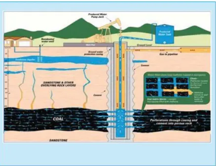 Gambar 1. Reservoir Gas Metana Batubara   (dalam Kristadi, H.J., Dati, D.W., Lemigas, 2012) 