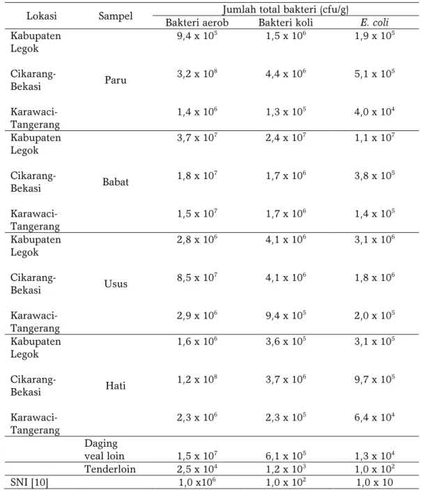 Tabel 2. Kandungan bakteri dalam jeroan dan daging sapi