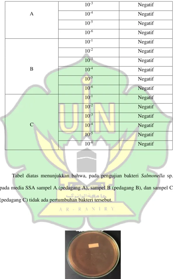 Tabel  diatas  menunjukkan  bahwa,  pada  pengujian  bakteri  Salmonella  sp.  pada media SSA sampel A (pedagang A), sampel B (pedagang B), dan sampel C  (pedagang C) tidak ada pertumbuhan bakteri tersebut