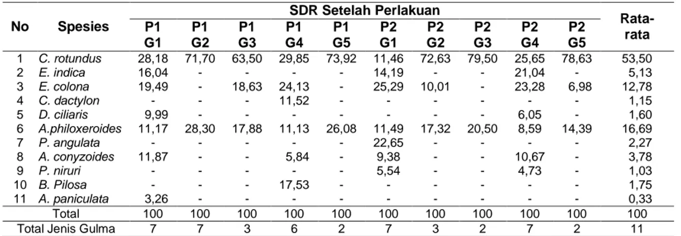 Tabel 4. Nilai SDR Gulma pada Berbagai Perlakuan Umur Pengamatan 66 hst. No  Spesies  SDR Setelah Perlakuan   Rata-rata P1  G1  P1  G2  P1  G3  P1  G4  P1  G5  P2  G1  P2  G2  P2  G3  P2  G4  P2  G5  1  C