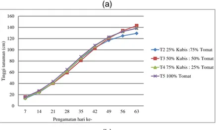 Gambar 1. Tinggi tanaman kubis (a) dan tomat (b) pada berbagai perlakuan (cm) 