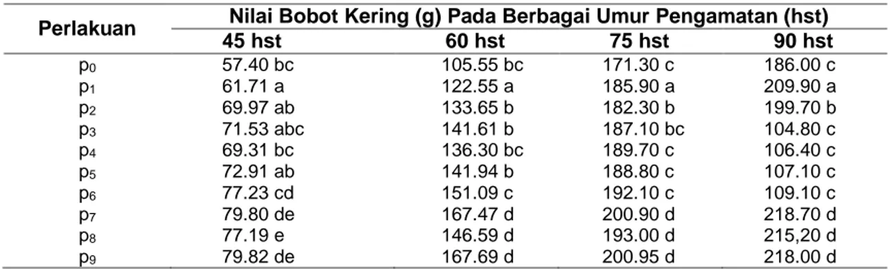 Tabel 4   Rerata Bobot Kering Tanaman Jagung Akibat Perlakuan Populasi, Lama Keberadaan 