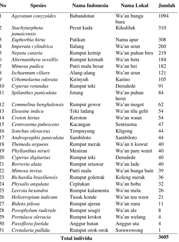 Tabel 1. Hasil  Identifikasi  Gulma  di  Kebun  Singkong  (Manihot  esculenta  Crantz)  di  Desa   Nitakloang Kecamatan Nita Kabupaten Sikka 