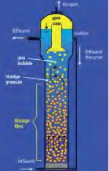 Gambar  2.4  menujukkan  salah  satu  arah  penembangan  lanjut  dari  desain  reaktor  UASB  adalah  dikaitkan  intensifikasi  transfer  massa  antara  granular  sludge  dan  aliran  yang  diolah