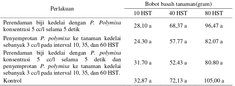 Tabel 3.Pengaruh Paenibacillus polymixa terhadap rata-rata bobot basah tanaman, MK 2016