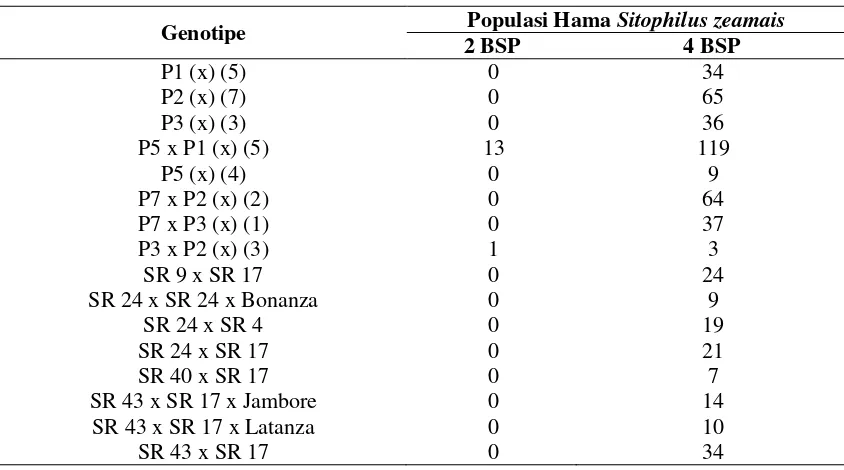 Tabel 3.Populasi Hama Gudang Sitophilus zeamais pada 16 Genotipe Benih  Jagung  Manis Calon Tetua Hibrida Unpad 