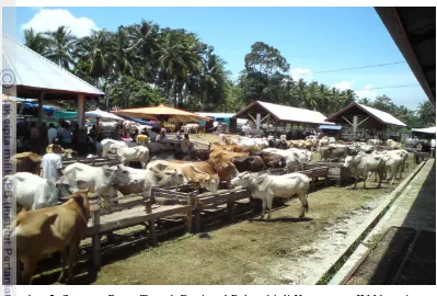 Gambar 5 Suasana Pasar Ternak Regional Palangki di Kecamatan IV Nagari.  