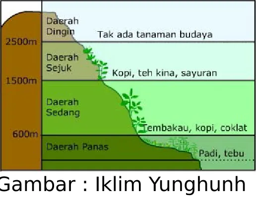 Gambar : Iklim Yunghunh 