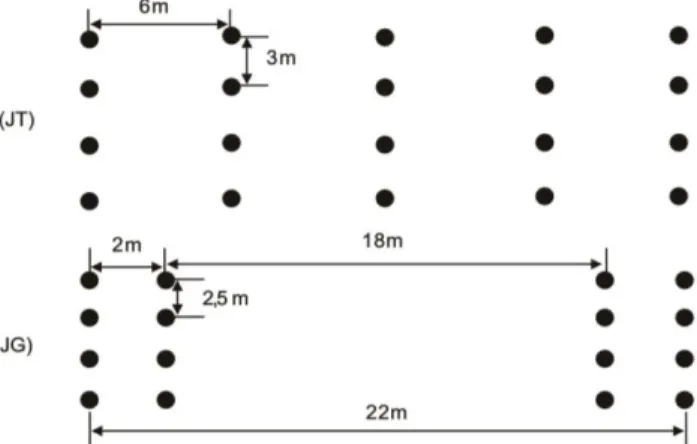Gambar 1 Layout percobaan pengaturan jarak tanam karet:  (1)  Sistem  jarak  tanam  tunggal  (JT);  dan  (2)  Sistem jarak tanam ganda (JG).