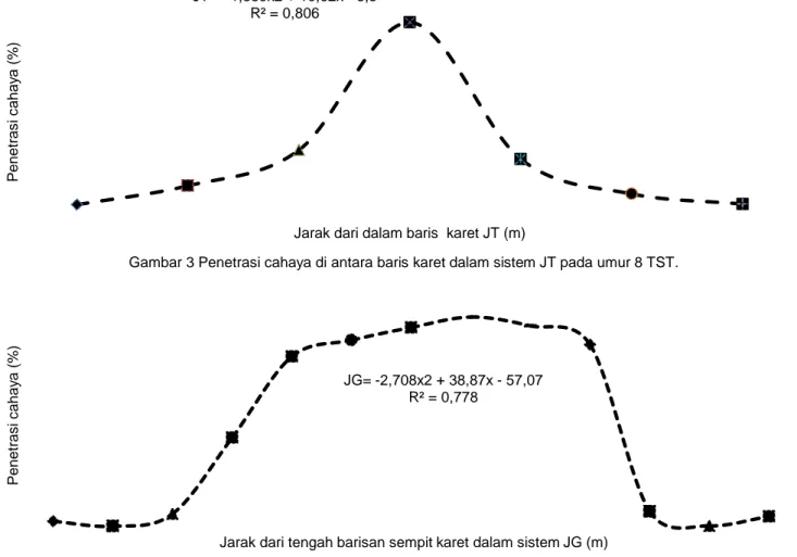 Gambar 3 Penetrasi cahaya di antara baris karet dalam sistem JT pada umur 8 TST. 