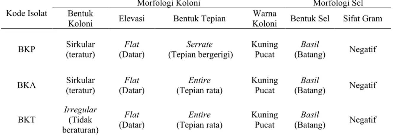 Tabel 4. Karakteristik Morfologi Koloni dan Sel Bakteri Endofit Indigenous 