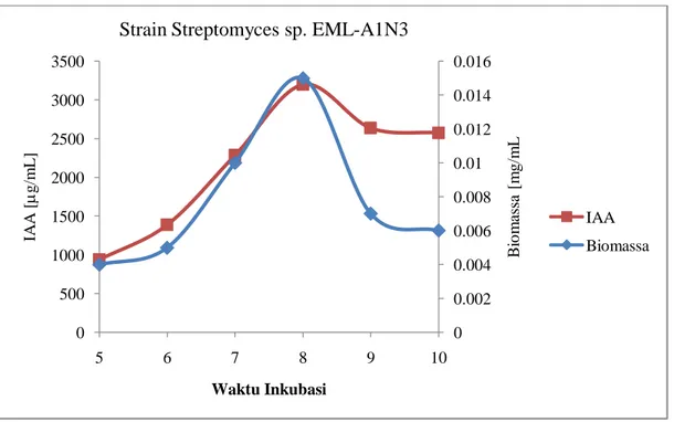 Gambar 3. Hubungan antara kemampuan menghasilkan IAA strain Streptomyces EML- EML-A1N3 antagonis fungi layu markisa dengan masa inkubasi 