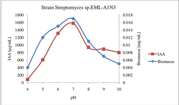 Gambar  6. Hubungan antara kemampuan menghasilkan IAA strain Streptomyces EML- EML-A1N3 antagonis fungi layu markisa dengan pH media 