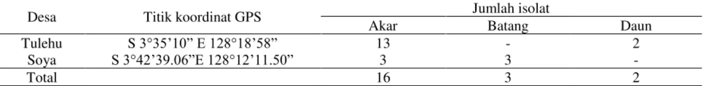 Tabel 1. Jumlah isolat bakteri endofit pada tanaman sagu (Mextroxylon spp) di Desa Tulehu dan Soya 
