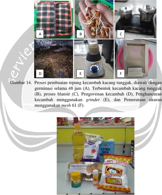 Gambar 14.  Proses pembuatan tepung kecambah kacang tunggak, diawali dengan    germinasi  selama 48 jam (A), Terbentuk  kecambah kacang tunggak  (B),  proses  blansir  (C),  Pengovenan  kecambah  (D),  Penghancuran  kecambah  menggunakan  grinder  (E),  da