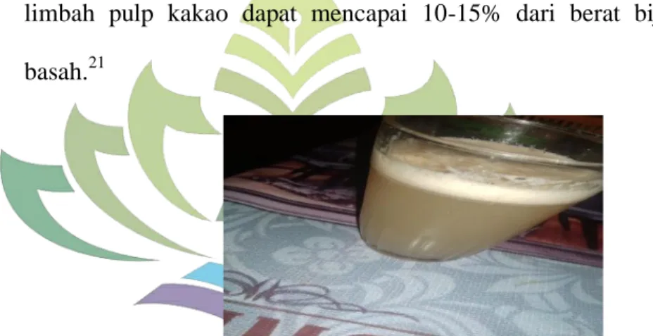 Gambar 2.8 limbah cair pulp kakao 22 3.  Kandungan kimia pulp kakao 